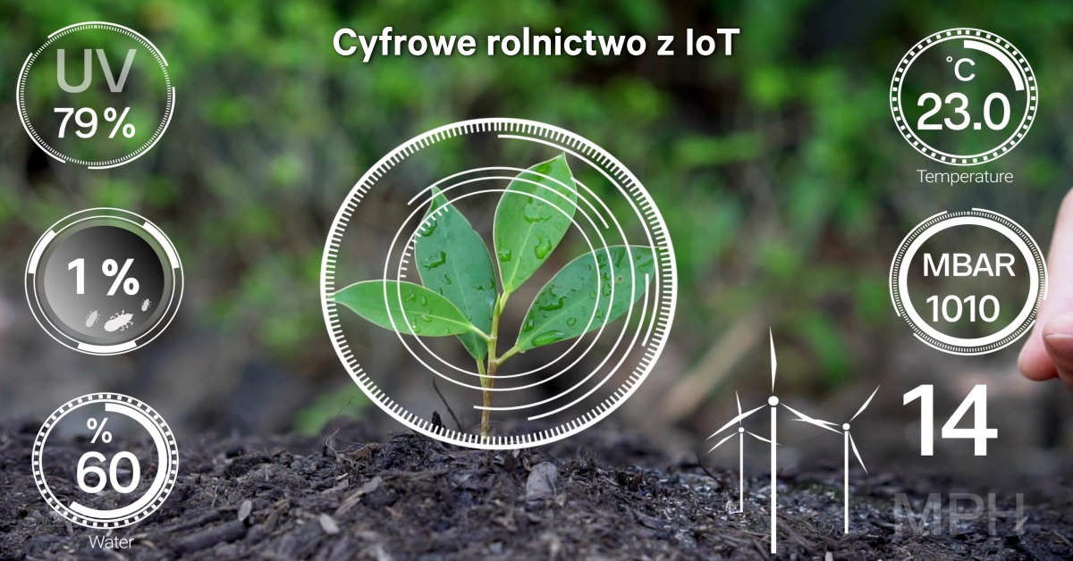 Cyfrowe rolnictwo z IoT