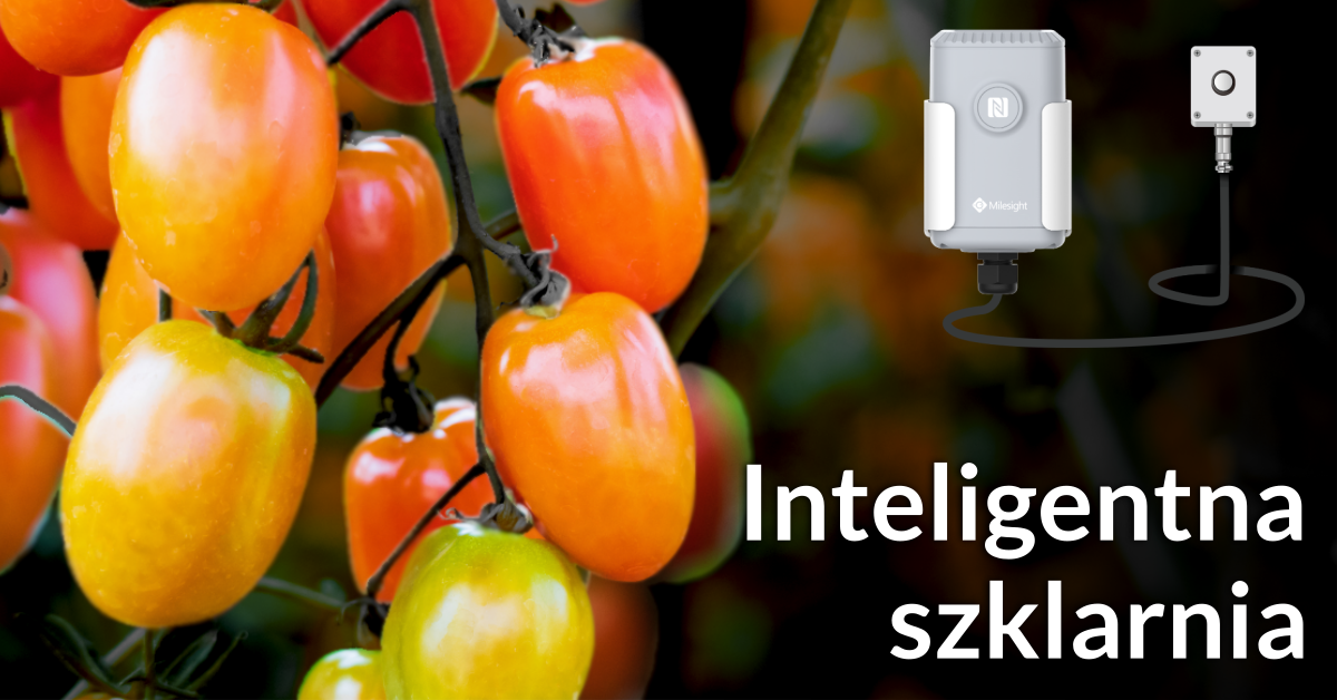 Inteligentna szklarnia z Vispena